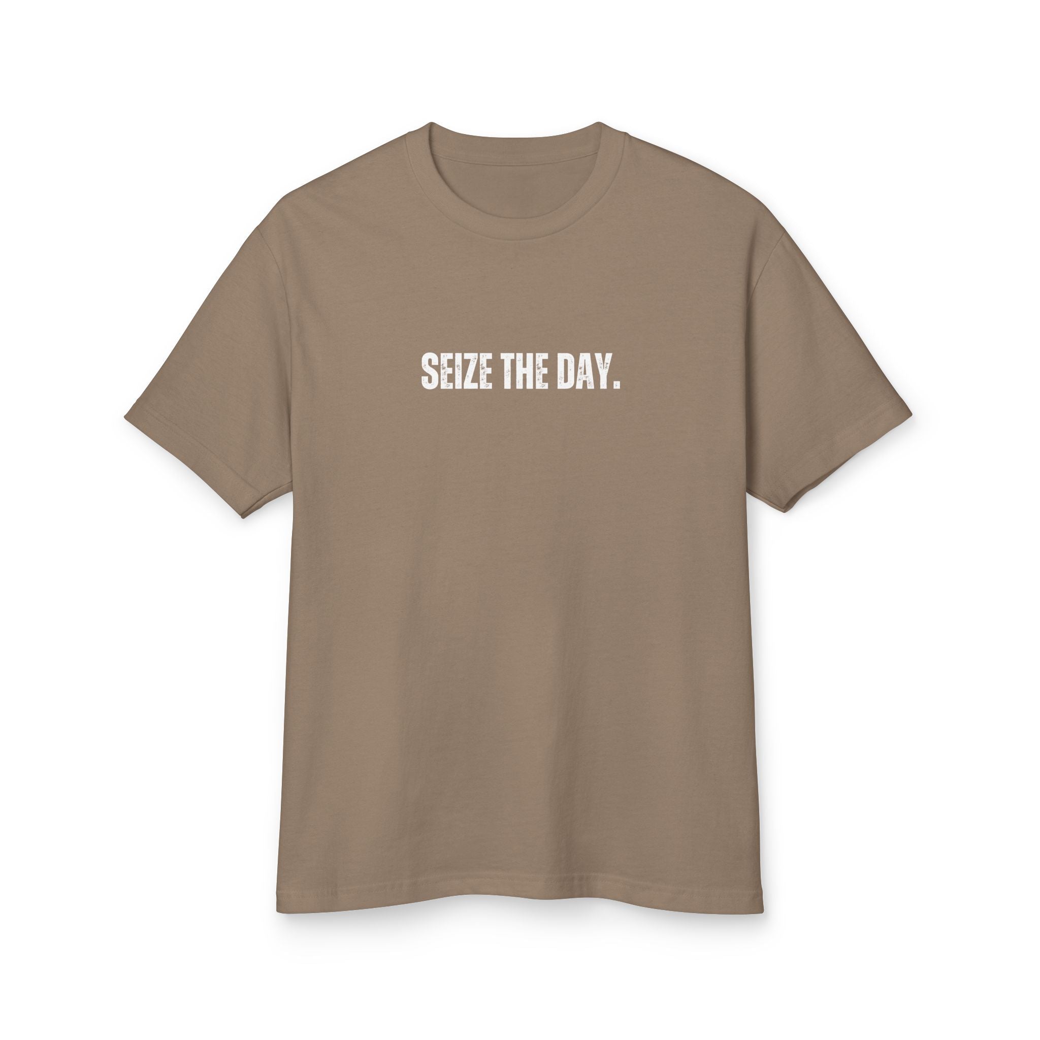 Unisex Ancient Quotes Shirt | Seize the Day | Inspirational Gift Tee - Mythos Design